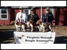 Top 3 dogs!